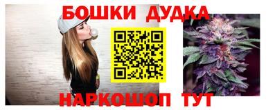 спиды Сланцы
