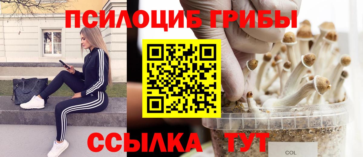 сколько стоит  Вход с VPN  Псилоцибиновые грибы Magic Shrooms  Волжский  Галлюциногенные грибы GOLDEN TEACHER 