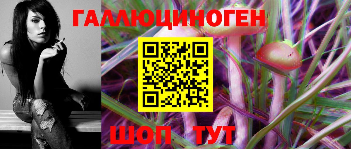 Псилоцибиновые грибы Psilocybe Волжский